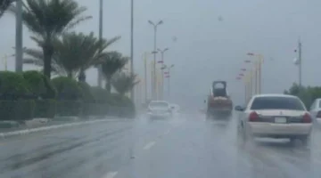 سحب وأمطار.. الأرصاد تكشف عن حالة الطقس اليوم مع أمطار في الإسكندرية وسحب منخفضة تعم القاهرة الكبرى